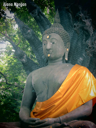 Buddha in Chiang Rai