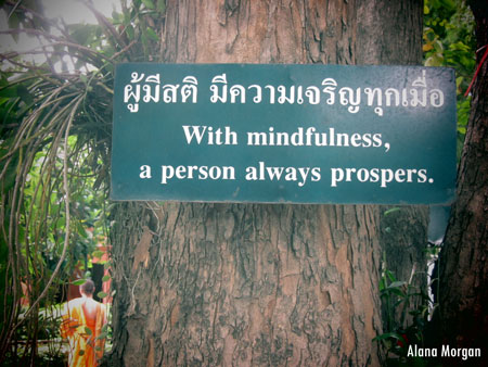 Mindfulness Prospers