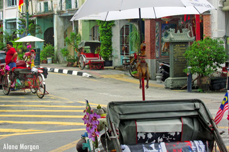 Decorated Bicycle Taxi in Penang