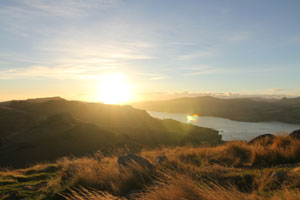 New Zealand View