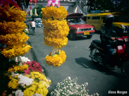 Flower Market in Chiang Mai