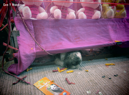 Thai Carnival, Chiang Mai