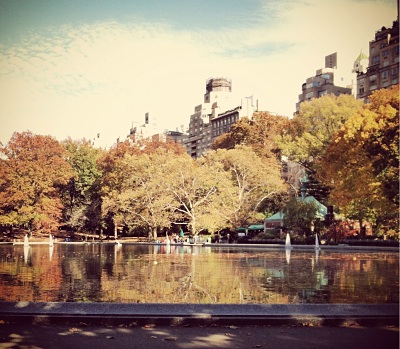 Fall Leaves NYC
