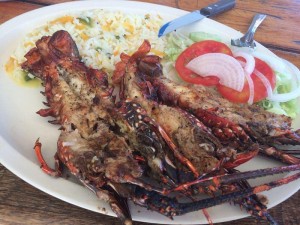Lobster Food Chacala