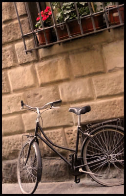 Italian bicycle with flower box, Street in Florence, Florence, Italy