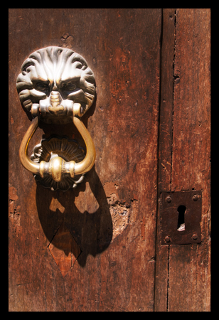 Roman Door, Italian Door Knocker, Texture in Art, Wood Grain Details, Old Door, Lion Door Knocker