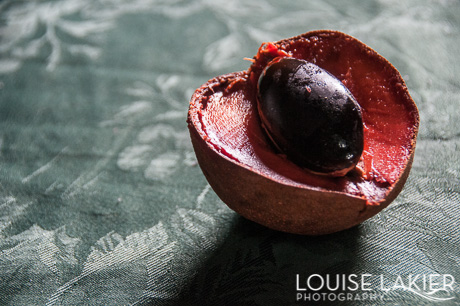 Sapote Fruit, Mamey Sapote, Travel, Food, Food Photography, Travel Advice, Central America, Granada, Nicaragua, Pudding, Dessert, Delicious