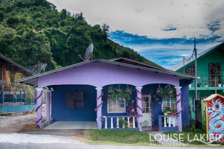 Purple House Guadalupe