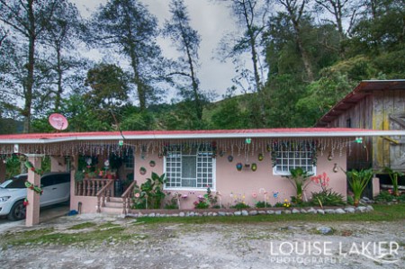 Pink House Guadalupe