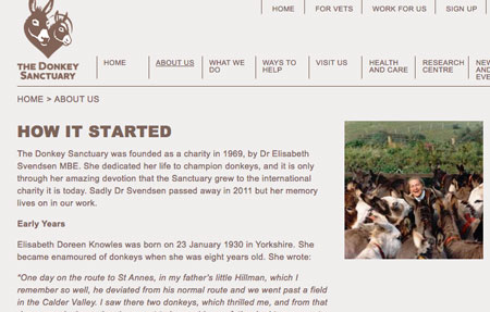 The Donkey Sanctuary Website