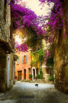 City Provence