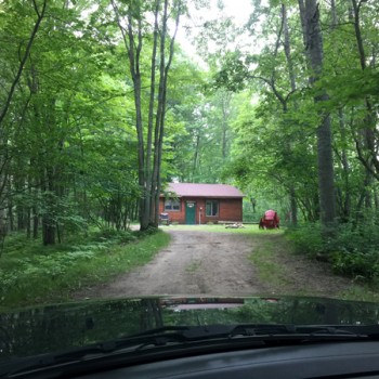 Cabin Driveway