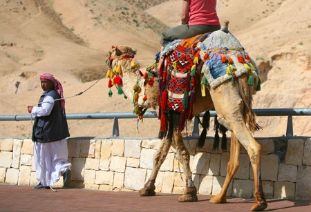 Camel Ride