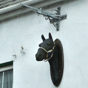 Horse in Dingle Ireland