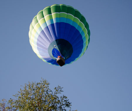 Balloon Above Tree