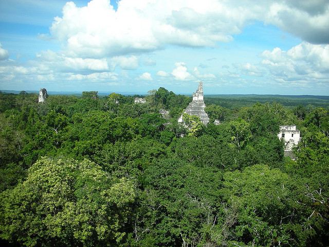 Top of Temple V, Tikal