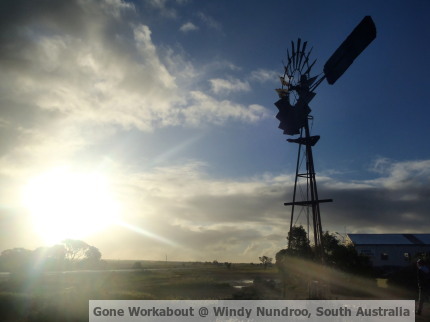 Gone Workabout At Windy Nundroo, South Australia