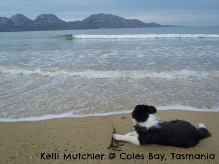 Coles Bay beaches Tasmania