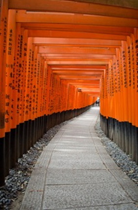 Kyoto Torii Gates Japan