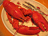 Lobster Jayros photo Flickr