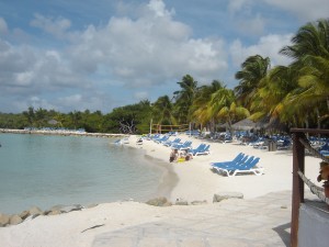 iguana beach aruba