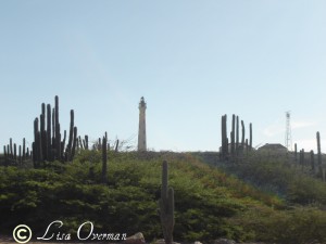 Aruba's Cactus and California Lighthouse