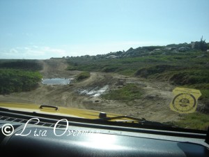 Driving off road on Aruba2
