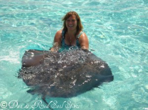 I'm holding the Sting Ray