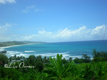 Barbados beach view
