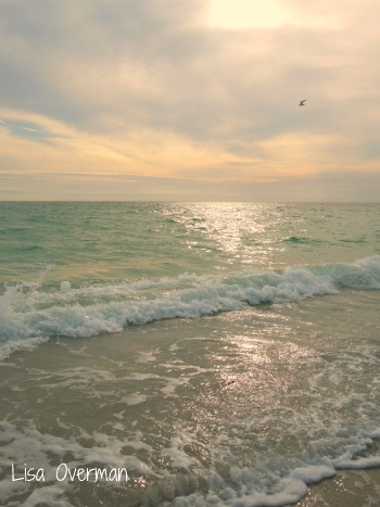 Beach sunset, florida