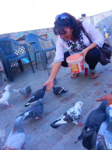 pigeon keeping Old Delhi