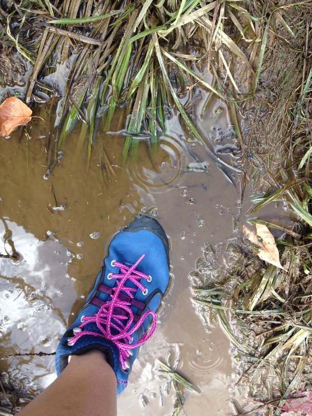 Merrell Verterra Shoe Mid-Waterproof