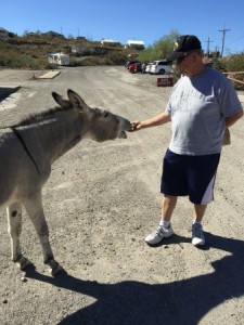 Dad Feeding Wild Burro