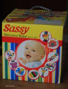 Sassy toy set