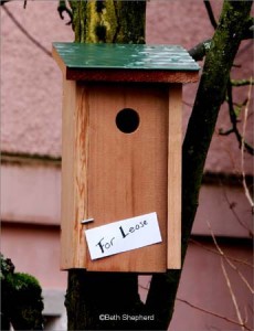 Birdhouse for lease