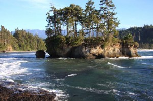 Island at Tongue Point