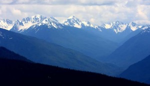 Olympic mountains