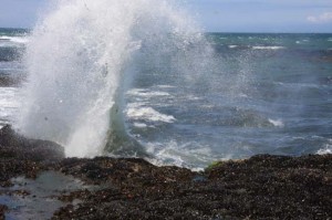 sea spray