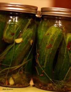 Kosher dill pickles without vinegar