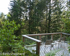 Salal cabin deck, Deep Forest Cabins, Paradise, Washington