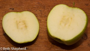 Apple sliced Jonagold