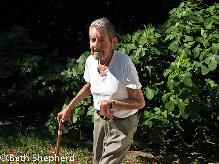 Dad and his fig trees