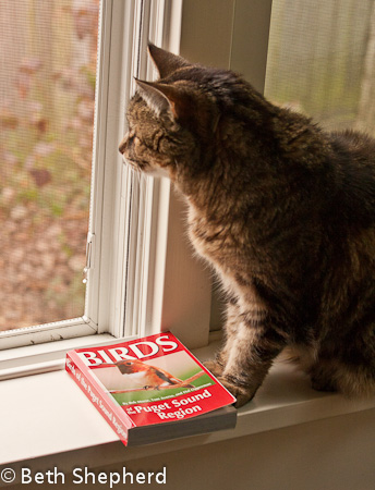 Maggie with bird book 1