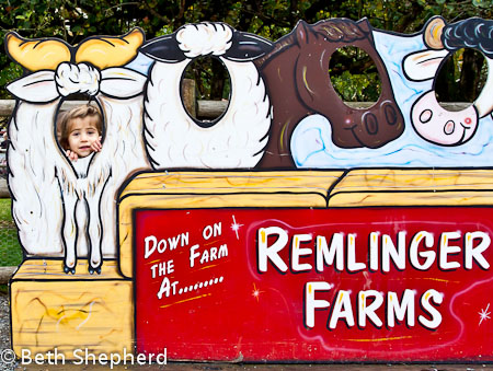 Remlinger Farms