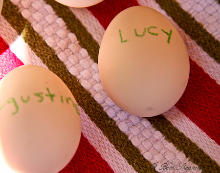 Eggs from Lucy and Augustine