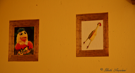 Miniature chicken paintings in a chicken coop