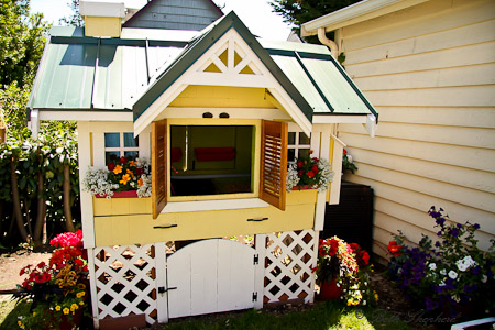 Yellow Chicken coop with metal roof