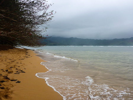 Beach by Hanalei Bay