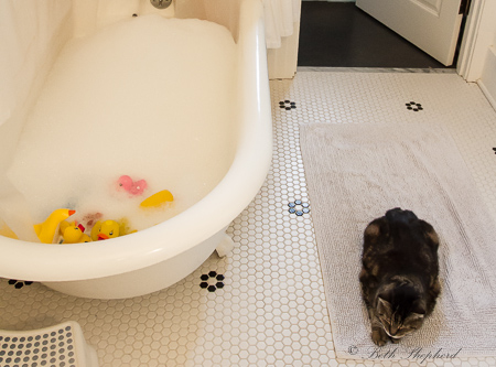 Bathing assistant