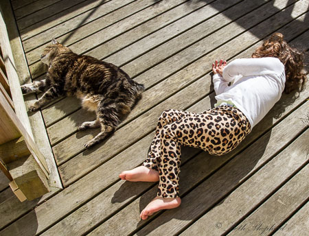 Cat and girl on the deck